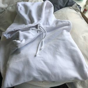Aritzia Boyfriend Hoodie